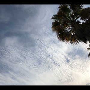 Meet your Posher, Summer